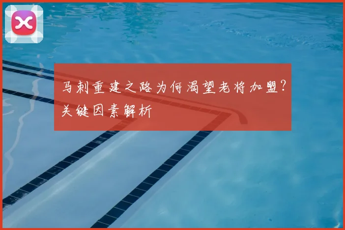 马刺重建之路为何渴望老将加盟?关键因素解析